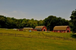 Middle School Director Spends Summer At Farm School Training