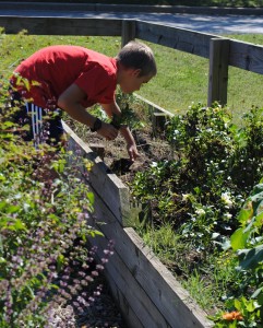 Students Care For Organic Garden