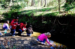 Students Conducting Science Experiments