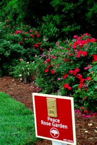 Five Oaks Academy Rose Garden Honors Community