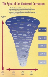 Spiral Curriculum Chart