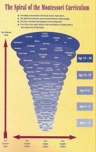 spiral curriculum in education